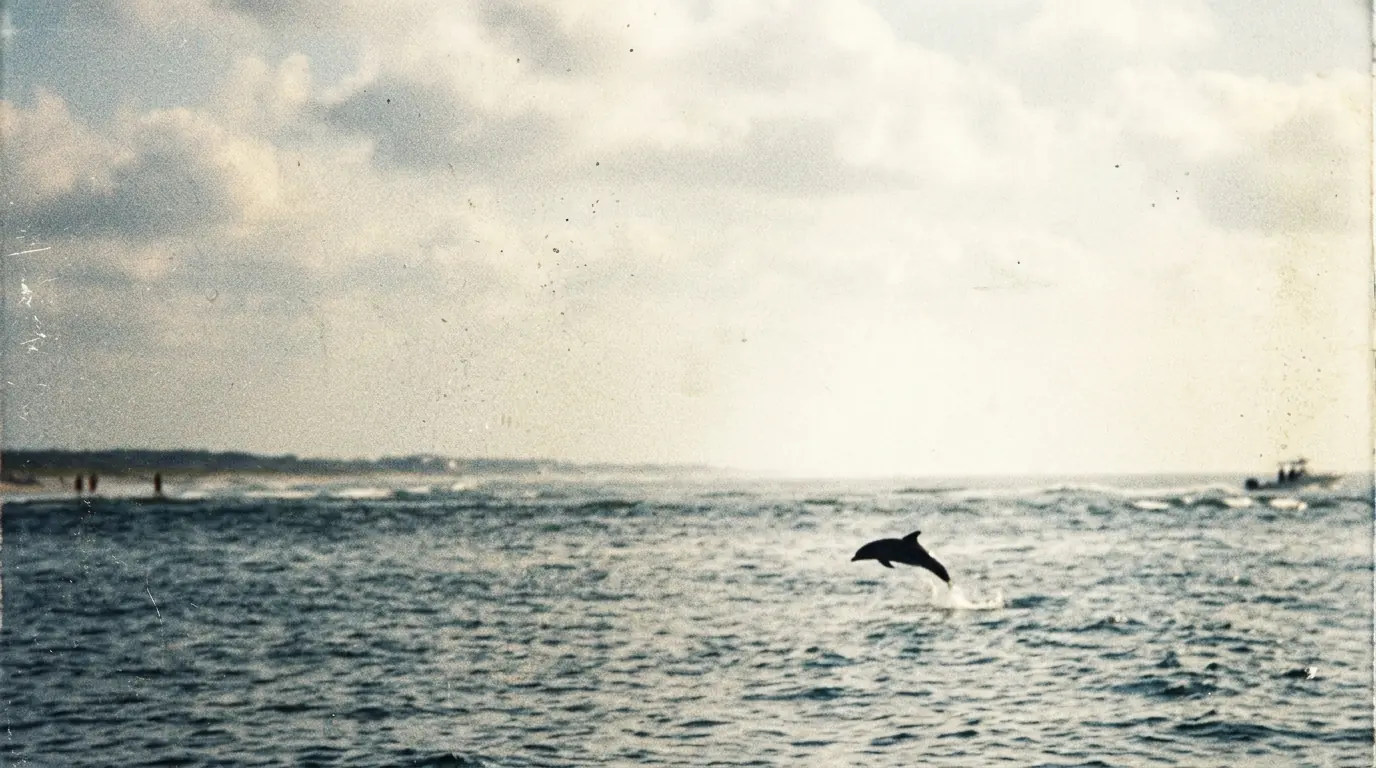Zoom sur le dauphin dans l'eau